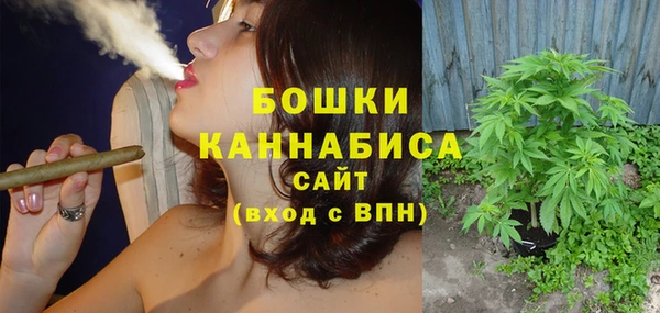 трава Белокуриха