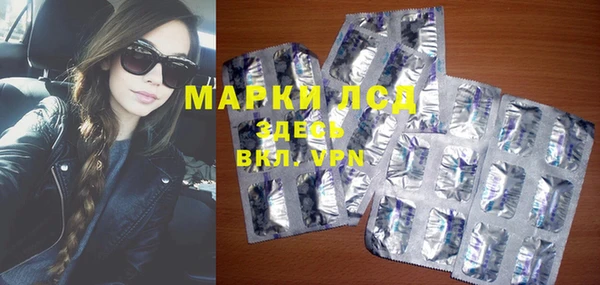 трава Белокуриха