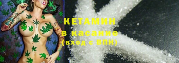 трава Белокуриха