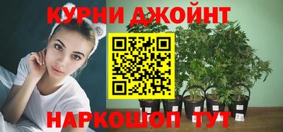 ПСИЛОЦИБИНОВЫЕ ГРИБЫ Аргун