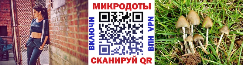 Галлюциногенные грибы MAGIC MUSHROOMS  ОМГ ОМГ зеркало  Верхний Уфалей 