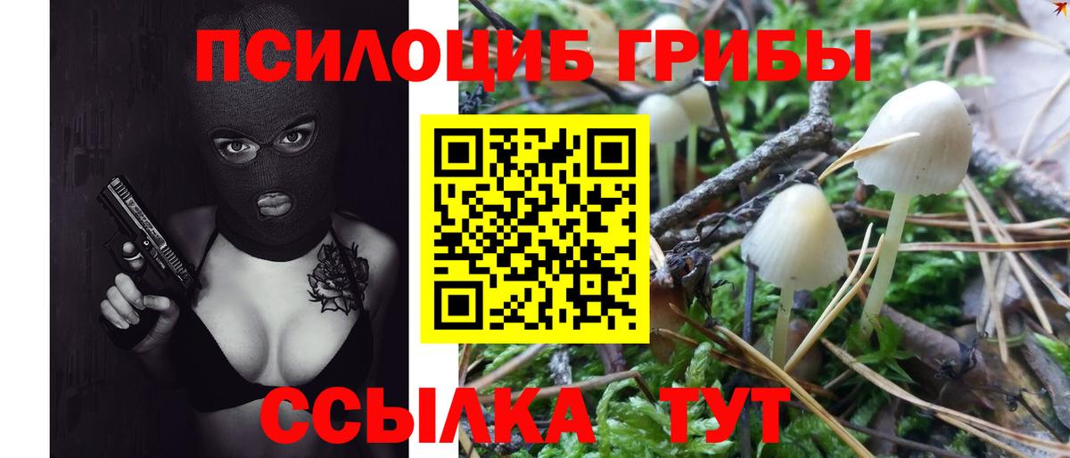 Галлюциногенные грибы мухоморы Верхний Уфалей