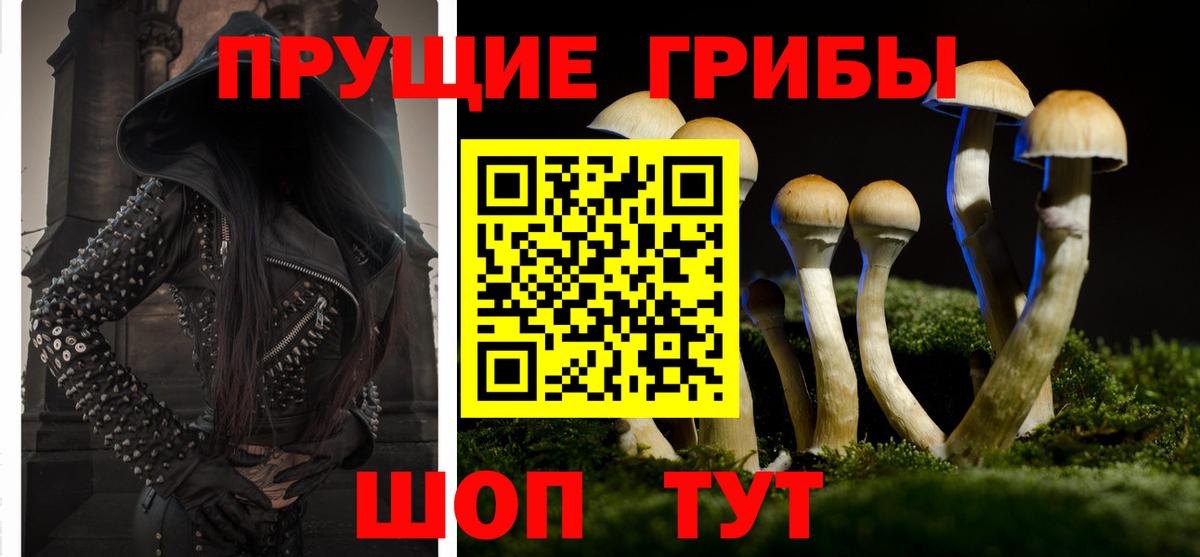 купить наркоту  Галлюциногенные грибы мицелий  Вход с VPN  Верхний Уфалей  Псилоцибиновые грибы мухоморы 