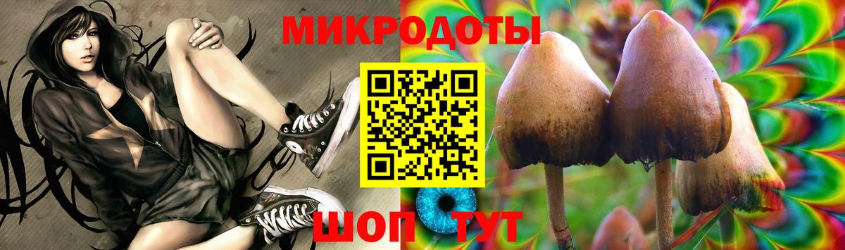 Галлюциногенные грибы GOLDEN TEACHER  Верхний Уфалей  Галлюциногенные грибы Psilocybine cubensis 